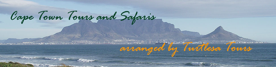Cape Town day tours